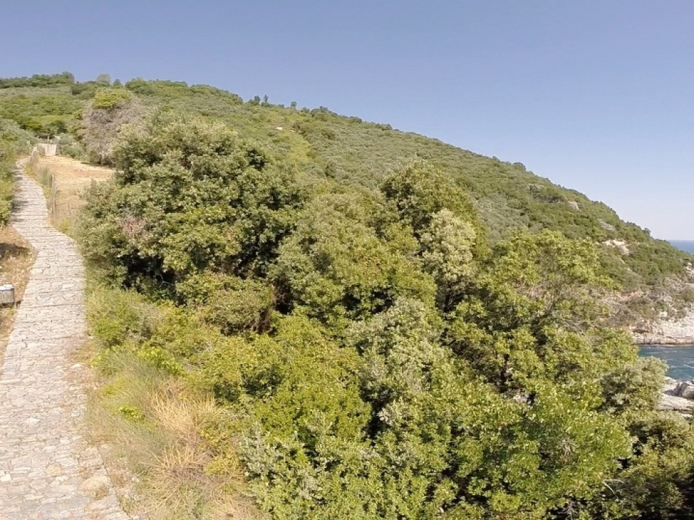 Το μονοπάτι της παραλία της Φακίστρας