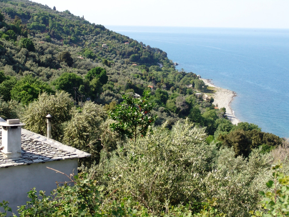 Μακρινή άποψη Ελίτσας