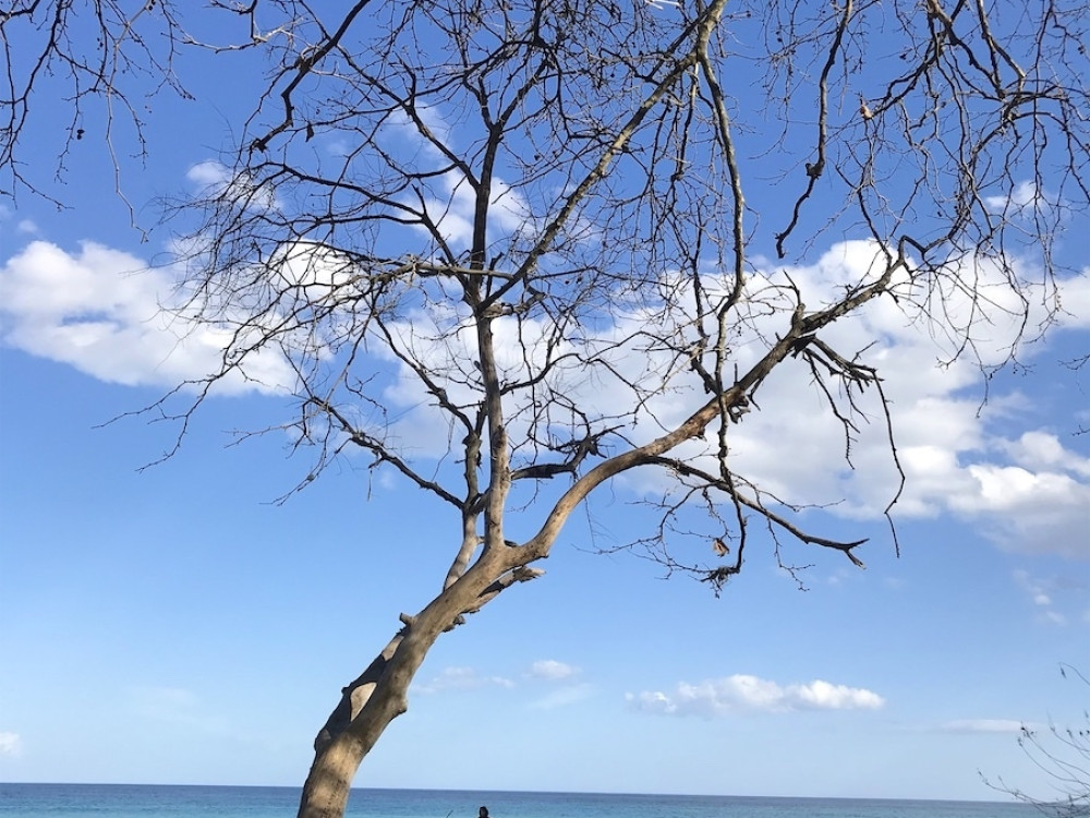 Παραλία Παρίσαινα