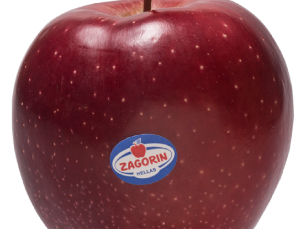 ΜΗΛΑ ΖΑΓΟΡΙΝ